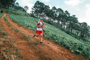 BIB: 
                            <button type="button" onclick="openModal(25297967)" class="btn btn-primary btn-sm float-right btn-popup" data-toggle="modal" data-target=".modal-high-quality">
                        <i class="fas fa-shopping-cart"></i> Add to Cart
                    </button>
                                            <button type="button" onclick="isThisMe(25297967, true)" class="btn btn-success btn-sm float-right btn-popup btn-isme hidden" data-toggle="tooltip" data-placement="bottom" title="นี่คือรูปของคุณใช่ไหม คลิกที่นี่เพื่อเอาเข้าอัลบั้ม">
                        <i class="fas fa-plus"></i> Add to album
                    </button>
                    <button type="button" onclick="isThisMe(25297967, false)" class="btn btn-warning btn-sm float-right btn-popup btn-isnotme hidden">
                        <i class="fas fa-ban"></i> Remove from album
                    </button>