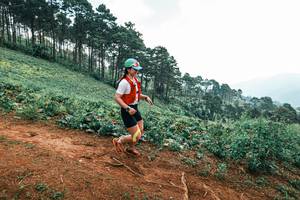 BIB: 
                            <button type="button" onclick="openModal(25299245)" class="btn btn-primary btn-sm float-right btn-popup" data-toggle="modal" data-target=".modal-high-quality">
                        <i class="fas fa-shopping-cart"></i> Add to Cart
                    </button>
                                            <button type="button" onclick="isThisMe(25299245, true)" class="btn btn-success btn-sm float-right btn-popup btn-isme hidden" data-toggle="tooltip" data-placement="bottom" title="นี่คือรูปของคุณใช่ไหม คลิกที่นี่เพื่อเอาเข้าอัลบั้ม">
                        <i class="fas fa-plus"></i> Add to album
                    </button>
                    <button type="button" onclick="isThisMe(25299245, false)" class="btn btn-warning btn-sm float-right btn-popup btn-isnotme hidden">
                        <i class="fas fa-ban"></i> Remove from album
                    </button>