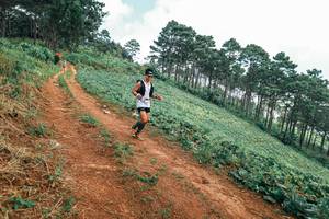 BIB: 
                            <button type="button" onclick="openModal(25462089)" class="btn btn-primary btn-sm float-right btn-popup" data-toggle="modal" data-target=".modal-high-quality">
                        <i class="fas fa-shopping-cart"></i> Add to Cart
                    </button>
                                            <button type="button" onclick="isThisMe(25462089, true)" class="btn btn-success btn-sm float-right btn-popup btn-isme hidden" data-toggle="tooltip" data-placement="bottom" title="นี่คือรูปของคุณใช่ไหม คลิกที่นี่เพื่อเอาเข้าอัลบั้ม">
                        <i class="fas fa-plus"></i> Add to album
                    </button>
                    <button type="button" onclick="isThisMe(25462089, false)" class="btn btn-warning btn-sm float-right btn-popup btn-isnotme hidden">
                        <i class="fas fa-ban"></i> Remove from album
                    </button>