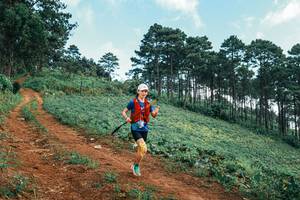 BIB: 
                            <button type="button" onclick="openModal(25289096)" class="btn btn-primary btn-sm float-right btn-popup" data-toggle="modal" data-target=".modal-high-quality">
                        <i class="fas fa-shopping-cart"></i> Add to Cart
                    </button>
                                            <button type="button" onclick="isThisMe(25289096, true)" class="btn btn-success btn-sm float-right btn-popup btn-isme hidden" data-toggle="tooltip" data-placement="bottom" title="นี่คือรูปของคุณใช่ไหม คลิกที่นี่เพื่อเอาเข้าอัลบั้ม">
                        <i class="fas fa-plus"></i> Add to album
                    </button>
                    <button type="button" onclick="isThisMe(25289096, false)" class="btn btn-warning btn-sm float-right btn-popup btn-isnotme hidden">
                        <i class="fas fa-ban"></i> Remove from album
                    </button>