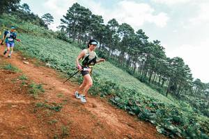 BIB: 
                            <button type="button" onclick="openModal(25301838)" class="btn btn-primary btn-sm float-right btn-popup" data-toggle="modal" data-target=".modal-high-quality">
                        <i class="fas fa-shopping-cart"></i> Add to Cart
                    </button>
                                            <button type="button" onclick="isThisMe(25301838, true)" class="btn btn-success btn-sm float-right btn-popup btn-isme hidden" data-toggle="tooltip" data-placement="bottom" title="นี่คือรูปของคุณใช่ไหม คลิกที่นี่เพื่อเอาเข้าอัลบั้ม">
                        <i class="fas fa-plus"></i> Add to album
                    </button>
                    <button type="button" onclick="isThisMe(25301838, false)" class="btn btn-warning btn-sm float-right btn-popup btn-isnotme hidden">
                        <i class="fas fa-ban"></i> Remove from album
                    </button>