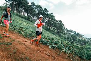 BIB: 
                            <button type="button" onclick="openModal(25301719)" class="btn btn-primary btn-sm float-right btn-popup" data-toggle="modal" data-target=".modal-high-quality">
                        <i class="fas fa-shopping-cart"></i> Add to Cart
                    </button>
                                            <button type="button" onclick="isThisMe(25301719, true)" class="btn btn-success btn-sm float-right btn-popup btn-isme hidden" data-toggle="tooltip" data-placement="bottom" title="นี่คือรูปของคุณใช่ไหม คลิกที่นี่เพื่อเอาเข้าอัลบั้ม">
                        <i class="fas fa-plus"></i> Add to album
                    </button>
                    <button type="button" onclick="isThisMe(25301719, false)" class="btn btn-warning btn-sm float-right btn-popup btn-isnotme hidden">
                        <i class="fas fa-ban"></i> Remove from album
                    </button>