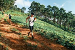 BIB: 
                            <button type="button" onclick="openModal(25289699)" class="btn btn-primary btn-sm float-right btn-popup" data-toggle="modal" data-target=".modal-high-quality">
                        <i class="fas fa-shopping-cart"></i> Add to Cart
                    </button>
                                            <button type="button" onclick="isThisMe(25289699, true)" class="btn btn-success btn-sm float-right btn-popup btn-isme hidden" data-toggle="tooltip" data-placement="bottom" title="นี่คือรูปของคุณใช่ไหม คลิกที่นี่เพื่อเอาเข้าอัลบั้ม">
                        <i class="fas fa-plus"></i> Add to album
                    </button>
                    <button type="button" onclick="isThisMe(25289699, false)" class="btn btn-warning btn-sm float-right btn-popup btn-isnotme hidden">
                        <i class="fas fa-ban"></i> Remove from album
                    </button>