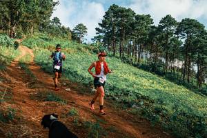 BIB: 
                            <button type="button" onclick="openModal(25289317)" class="btn btn-primary btn-sm float-right btn-popup" data-toggle="modal" data-target=".modal-high-quality">
                        <i class="fas fa-shopping-cart"></i> Add to Cart
                    </button>
                                            <button type="button" onclick="isThisMe(25289317, true)" class="btn btn-success btn-sm float-right btn-popup btn-isme hidden" data-toggle="tooltip" data-placement="bottom" title="นี่คือรูปของคุณใช่ไหม คลิกที่นี่เพื่อเอาเข้าอัลบั้ม">
                        <i class="fas fa-plus"></i> Add to album
                    </button>
                    <button type="button" onclick="isThisMe(25289317, false)" class="btn btn-warning btn-sm float-right btn-popup btn-isnotme hidden">
                        <i class="fas fa-ban"></i> Remove from album
                    </button>