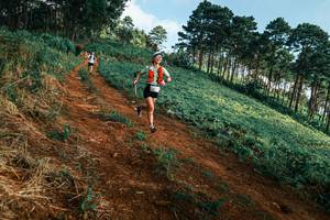 BIB: 
                            <button type="button" onclick="openModal(25289946)" class="btn btn-primary btn-sm float-right btn-popup" data-toggle="modal" data-target=".modal-high-quality">
                        <i class="fas fa-shopping-cart"></i> Add to Cart
                    </button>
                                            <button type="button" onclick="isThisMe(25289946, true)" class="btn btn-success btn-sm float-right btn-popup btn-isme hidden" data-toggle="tooltip" data-placement="bottom" title="นี่คือรูปของคุณใช่ไหม คลิกที่นี่เพื่อเอาเข้าอัลบั้ม">
                        <i class="fas fa-plus"></i> Add to album
                    </button>
                    <button type="button" onclick="isThisMe(25289946, false)" class="btn btn-warning btn-sm float-right btn-popup btn-isnotme hidden">
                        <i class="fas fa-ban"></i> Remove from album
                    </button>