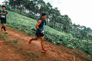 BIB: 
                            <button type="button" onclick="openModal(25299496)" class="btn btn-primary btn-sm float-right btn-popup" data-toggle="modal" data-target=".modal-high-quality">
                        <i class="fas fa-shopping-cart"></i> Add to Cart
                    </button>
                                            <button type="button" onclick="isThisMe(25299496, true)" class="btn btn-success btn-sm float-right btn-popup btn-isme hidden" data-toggle="tooltip" data-placement="bottom" title="นี่คือรูปของคุณใช่ไหม คลิกที่นี่เพื่อเอาเข้าอัลบั้ม">
                        <i class="fas fa-plus"></i> Add to album
                    </button>
                    <button type="button" onclick="isThisMe(25299496, false)" class="btn btn-warning btn-sm float-right btn-popup btn-isnotme hidden">
                        <i class="fas fa-ban"></i> Remove from album
                    </button>