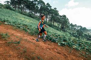 BIB: 
                            <button type="button" onclick="openModal(25453856)" class="btn btn-primary btn-sm float-right btn-popup" data-toggle="modal" data-target=".modal-high-quality">
                        <i class="fas fa-shopping-cart"></i> Add to Cart
                    </button>
                                            <button type="button" onclick="isThisMe(25453856, true)" class="btn btn-success btn-sm float-right btn-popup btn-isme hidden" data-toggle="tooltip" data-placement="bottom" title="นี่คือรูปของคุณใช่ไหม คลิกที่นี่เพื่อเอาเข้าอัลบั้ม">
                        <i class="fas fa-plus"></i> Add to album
                    </button>
                    <button type="button" onclick="isThisMe(25453856, false)" class="btn btn-warning btn-sm float-right btn-popup btn-isnotme hidden">
                        <i class="fas fa-ban"></i> Remove from album
                    </button>