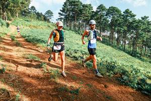 BIB: 
                            <button type="button" onclick="openModal(25289575)" class="btn btn-primary btn-sm float-right btn-popup" data-toggle="modal" data-target=".modal-high-quality">
                        <i class="fas fa-shopping-cart"></i> Add to Cart
                    </button>
                                            <button type="button" onclick="isThisMe(25289575, true)" class="btn btn-success btn-sm float-right btn-popup btn-isme hidden" data-toggle="tooltip" data-placement="bottom" title="นี่คือรูปของคุณใช่ไหม คลิกที่นี่เพื่อเอาเข้าอัลบั้ม">
                        <i class="fas fa-plus"></i> Add to album
                    </button>
                    <button type="button" onclick="isThisMe(25289575, false)" class="btn btn-warning btn-sm float-right btn-popup btn-isnotme hidden">
                        <i class="fas fa-ban"></i> Remove from album
                    </button>