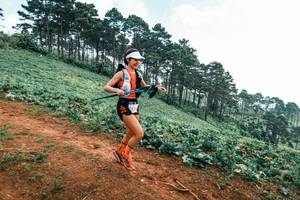 BIB: 
                            <button type="button" onclick="openModal(25300031)" class="btn btn-primary btn-sm float-right btn-popup" data-toggle="modal" data-target=".modal-high-quality">
                        <i class="fas fa-shopping-cart"></i> Add to Cart
                    </button>
                                            <button type="button" onclick="isThisMe(25300031, true)" class="btn btn-success btn-sm float-right btn-popup btn-isme hidden" data-toggle="tooltip" data-placement="bottom" title="นี่คือรูปของคุณใช่ไหม คลิกที่นี่เพื่อเอาเข้าอัลบั้ม">
                        <i class="fas fa-plus"></i> Add to album
                    </button>
                    <button type="button" onclick="isThisMe(25300031, false)" class="btn btn-warning btn-sm float-right btn-popup btn-isnotme hidden">
                        <i class="fas fa-ban"></i> Remove from album
                    </button>