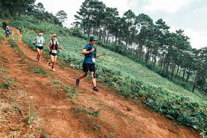 BIB: 
                            <button type="button" onclick="openModal(25298765)" class="btn btn-primary btn-sm float-right btn-popup" data-toggle="modal" data-target=".modal-high-quality">
                        <i class="fas fa-shopping-cart"></i> Add to Cart
                    </button>
                                            <button type="button" onclick="isThisMe(25298765, true)" class="btn btn-success btn-sm float-right btn-popup btn-isme hidden" data-toggle="tooltip" data-placement="bottom" title="นี่คือรูปของคุณใช่ไหม คลิกที่นี่เพื่อเอาเข้าอัลบั้ม">
                        <i class="fas fa-plus"></i> Add to album
                    </button>
                    <button type="button" onclick="isThisMe(25298765, false)" class="btn btn-warning btn-sm float-right btn-popup btn-isnotme hidden">
                        <i class="fas fa-ban"></i> Remove from album
                    </button>