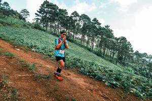 BIB: 
                            <button type="button" onclick="openModal(25297916)" class="btn btn-primary btn-sm float-right btn-popup" data-toggle="modal" data-target=".modal-high-quality">
                        <i class="fas fa-shopping-cart"></i> Add to Cart
                    </button>
                                            <button type="button" onclick="isThisMe(25297916, true)" class="btn btn-success btn-sm float-right btn-popup btn-isme hidden" data-toggle="tooltip" data-placement="bottom" title="นี่คือรูปของคุณใช่ไหม คลิกที่นี่เพื่อเอาเข้าอัลบั้ม">
                        <i class="fas fa-plus"></i> Add to album
                    </button>
                    <button type="button" onclick="isThisMe(25297916, false)" class="btn btn-warning btn-sm float-right btn-popup btn-isnotme hidden">
                        <i class="fas fa-ban"></i> Remove from album
                    </button>