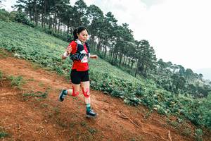 BIB: 
                            <button type="button" onclick="openModal(25435564)" class="btn btn-primary btn-sm float-right btn-popup" data-toggle="modal" data-target=".modal-high-quality">
                        <i class="fas fa-shopping-cart"></i> Add to Cart
                    </button>
                                            <button type="button" onclick="isThisMe(25435564, true)" class="btn btn-success btn-sm float-right btn-popup btn-isme hidden" data-toggle="tooltip" data-placement="bottom" title="นี่คือรูปของคุณใช่ไหม คลิกที่นี่เพื่อเอาเข้าอัลบั้ม">
                        <i class="fas fa-plus"></i> Add to album
                    </button>
                    <button type="button" onclick="isThisMe(25435564, false)" class="btn btn-warning btn-sm float-right btn-popup btn-isnotme hidden">
                        <i class="fas fa-ban"></i> Remove from album
                    </button>