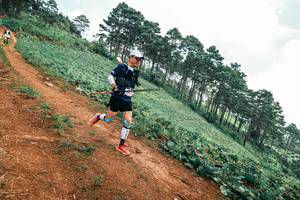 BIB: 
                            <button type="button" onclick="openModal(25462072)" class="btn btn-primary btn-sm float-right btn-popup" data-toggle="modal" data-target=".modal-high-quality">
                        <i class="fas fa-shopping-cart"></i> Add to Cart
                    </button>
                                            <button type="button" onclick="isThisMe(25462072, true)" class="btn btn-success btn-sm float-right btn-popup btn-isme hidden" data-toggle="tooltip" data-placement="bottom" title="นี่คือรูปของคุณใช่ไหม คลิกที่นี่เพื่อเอาเข้าอัลบั้ม">
                        <i class="fas fa-plus"></i> Add to album
                    </button>
                    <button type="button" onclick="isThisMe(25462072, false)" class="btn btn-warning btn-sm float-right btn-popup btn-isnotme hidden">
                        <i class="fas fa-ban"></i> Remove from album
                    </button>