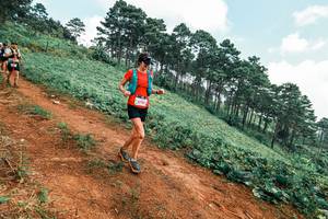 BIB: 
                            <button type="button" onclick="openModal(25455109)" class="btn btn-primary btn-sm float-right btn-popup" data-toggle="modal" data-target=".modal-high-quality">
                        <i class="fas fa-shopping-cart"></i> Add to Cart
                    </button>
                                            <button type="button" onclick="isThisMe(25455109, true)" class="btn btn-success btn-sm float-right btn-popup btn-isme hidden" data-toggle="tooltip" data-placement="bottom" title="นี่คือรูปของคุณใช่ไหม คลิกที่นี่เพื่อเอาเข้าอัลบั้ม">
                        <i class="fas fa-plus"></i> Add to album
                    </button>
                    <button type="button" onclick="isThisMe(25455109, false)" class="btn btn-warning btn-sm float-right btn-popup btn-isnotme hidden">
                        <i class="fas fa-ban"></i> Remove from album
                    </button>