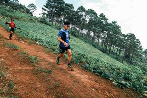 BIB: 
                            <button type="button" onclick="openModal(25299405)" class="btn btn-primary btn-sm float-right btn-popup" data-toggle="modal" data-target=".modal-high-quality">
                        <i class="fas fa-shopping-cart"></i> Add to Cart
                    </button>
                                            <button type="button" onclick="isThisMe(25299405, true)" class="btn btn-success btn-sm float-right btn-popup btn-isme hidden" data-toggle="tooltip" data-placement="bottom" title="นี่คือรูปของคุณใช่ไหม คลิกที่นี่เพื่อเอาเข้าอัลบั้ม">
                        <i class="fas fa-plus"></i> Add to album
                    </button>
                    <button type="button" onclick="isThisMe(25299405, false)" class="btn btn-warning btn-sm float-right btn-popup btn-isnotme hidden">
                        <i class="fas fa-ban"></i> Remove from album
                    </button>