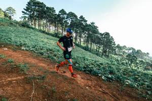 BIB: 
                            <button type="button" onclick="openModal(25291419)" class="btn btn-primary btn-sm float-right btn-popup" data-toggle="modal" data-target=".modal-high-quality">
                        <i class="fas fa-shopping-cart"></i> Add to Cart
                    </button>
                                            <button type="button" onclick="isThisMe(25291419, true)" class="btn btn-success btn-sm float-right btn-popup btn-isme hidden" data-toggle="tooltip" data-placement="bottom" title="นี่คือรูปของคุณใช่ไหม คลิกที่นี่เพื่อเอาเข้าอัลบั้ม">
                        <i class="fas fa-plus"></i> Add to album
                    </button>
                    <button type="button" onclick="isThisMe(25291419, false)" class="btn btn-warning btn-sm float-right btn-popup btn-isnotme hidden">
                        <i class="fas fa-ban"></i> Remove from album
                    </button>