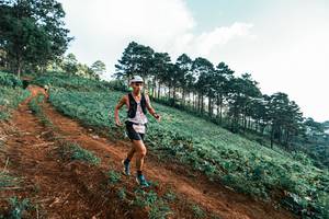 BIB: 
                            <button type="button" onclick="openModal(25287486)" class="btn btn-primary btn-sm float-right btn-popup" data-toggle="modal" data-target=".modal-high-quality">
                        <i class="fas fa-shopping-cart"></i> Add to Cart
                    </button>
                                            <button type="button" onclick="isThisMe(25287486, true)" class="btn btn-success btn-sm float-right btn-popup btn-isme hidden" data-toggle="tooltip" data-placement="bottom" title="นี่คือรูปของคุณใช่ไหม คลิกที่นี่เพื่อเอาเข้าอัลบั้ม">
                        <i class="fas fa-plus"></i> Add to album
                    </button>
                    <button type="button" onclick="isThisMe(25287486, false)" class="btn btn-warning btn-sm float-right btn-popup btn-isnotme hidden">
                        <i class="fas fa-ban"></i> Remove from album
                    </button>