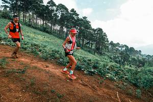 BIB: 
                            <button type="button" onclick="openModal(25297795)" class="btn btn-primary btn-sm float-right btn-popup" data-toggle="modal" data-target=".modal-high-quality">
                        <i class="fas fa-shopping-cart"></i> Add to Cart
                    </button>
                                            <button type="button" onclick="isThisMe(25297795, true)" class="btn btn-success btn-sm float-right btn-popup btn-isme hidden" data-toggle="tooltip" data-placement="bottom" title="นี่คือรูปของคุณใช่ไหม คลิกที่นี่เพื่อเอาเข้าอัลบั้ม">
                        <i class="fas fa-plus"></i> Add to album
                    </button>
                    <button type="button" onclick="isThisMe(25297795, false)" class="btn btn-warning btn-sm float-right btn-popup btn-isnotme hidden">
                        <i class="fas fa-ban"></i> Remove from album
                    </button>