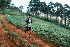 BIB: 
                            <button type="button" onclick="openModal(25287598)" class="btn btn-primary btn-sm float-right btn-popup" data-toggle="modal" data-target=".modal-high-quality">
                        <i class="fas fa-shopping-cart"></i> Add to Cart
                    </button>
                                            <button type="button" onclick="isThisMe(25287598, true)" class="btn btn-success btn-sm float-right btn-popup btn-isme hidden" data-toggle="tooltip" data-placement="bottom" title="นี่คือรูปของคุณใช่ไหม คลิกที่นี่เพื่อเอาเข้าอัลบั้ม">
                        <i class="fas fa-plus"></i> Add to album
                    </button>
                    <button type="button" onclick="isThisMe(25287598, false)" class="btn btn-warning btn-sm float-right btn-popup btn-isnotme hidden">
                        <i class="fas fa-ban"></i> Remove from album
                    </button>