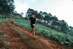 BIB: 
                            <button type="button" onclick="openModal(25288541)" class="btn btn-primary btn-sm float-right btn-popup" data-toggle="modal" data-target=".modal-high-quality">
                        <i class="fas fa-shopping-cart"></i> Add to Cart
                    </button>
                                            <button type="button" onclick="isThisMe(25288541, true)" class="btn btn-success btn-sm float-right btn-popup btn-isme hidden" data-toggle="tooltip" data-placement="bottom" title="นี่คือรูปของคุณใช่ไหม คลิกที่นี่เพื่อเอาเข้าอัลบั้ม">
                        <i class="fas fa-plus"></i> Add to album
                    </button>
                    <button type="button" onclick="isThisMe(25288541, false)" class="btn btn-warning btn-sm float-right btn-popup btn-isnotme hidden">
                        <i class="fas fa-ban"></i> Remove from album
                    </button>