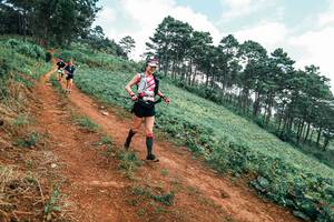 BIB: 
                            <button type="button" onclick="openModal(25322572)" class="btn btn-primary btn-sm float-right btn-popup" data-toggle="modal" data-target=".modal-high-quality">
                        <i class="fas fa-shopping-cart"></i> Add to Cart
                    </button>
                                            <button type="button" onclick="isThisMe(25322572, true)" class="btn btn-success btn-sm float-right btn-popup btn-isme hidden" data-toggle="tooltip" data-placement="bottom" title="นี่คือรูปของคุณใช่ไหม คลิกที่นี่เพื่อเอาเข้าอัลบั้ม">
                        <i class="fas fa-plus"></i> Add to album
                    </button>
                    <button type="button" onclick="isThisMe(25322572, false)" class="btn btn-warning btn-sm float-right btn-popup btn-isnotme hidden">
                        <i class="fas fa-ban"></i> Remove from album
                    </button>