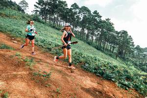 BIB: 
                            <button type="button" onclick="openModal(25298778)" class="btn btn-primary btn-sm float-right btn-popup" data-toggle="modal" data-target=".modal-high-quality">
                        <i class="fas fa-shopping-cart"></i> Add to Cart
                    </button>
                                            <button type="button" onclick="isThisMe(25298778, true)" class="btn btn-success btn-sm float-right btn-popup btn-isme hidden" data-toggle="tooltip" data-placement="bottom" title="นี่คือรูปของคุณใช่ไหม คลิกที่นี่เพื่อเอาเข้าอัลบั้ม">
                        <i class="fas fa-plus"></i> Add to album
                    </button>
                    <button type="button" onclick="isThisMe(25298778, false)" class="btn btn-warning btn-sm float-right btn-popup btn-isnotme hidden">
                        <i class="fas fa-ban"></i> Remove from album
                    </button>