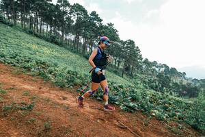 BIB: 
                            <button type="button" onclick="openModal(25298636)" class="btn btn-primary btn-sm float-right btn-popup" data-toggle="modal" data-target=".modal-high-quality">
                        <i class="fas fa-shopping-cart"></i> Add to Cart
                    </button>
                                            <button type="button" onclick="isThisMe(25298636, true)" class="btn btn-success btn-sm float-right btn-popup btn-isme hidden" data-toggle="tooltip" data-placement="bottom" title="นี่คือรูปของคุณใช่ไหม คลิกที่นี่เพื่อเอาเข้าอัลบั้ม">
                        <i class="fas fa-plus"></i> Add to album
                    </button>
                    <button type="button" onclick="isThisMe(25298636, false)" class="btn btn-warning btn-sm float-right btn-popup btn-isnotme hidden">
                        <i class="fas fa-ban"></i> Remove from album
                    </button>