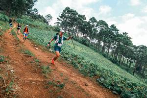 BIB: 
                            <button type="button" onclick="openModal(25321903)" class="btn btn-primary btn-sm float-right btn-popup" data-toggle="modal" data-target=".modal-high-quality">
                        <i class="fas fa-shopping-cart"></i> Add to Cart
                    </button>
                                            <button type="button" onclick="isThisMe(25321903, true)" class="btn btn-success btn-sm float-right btn-popup btn-isme hidden" data-toggle="tooltip" data-placement="bottom" title="นี่คือรูปของคุณใช่ไหม คลิกที่นี่เพื่อเอาเข้าอัลบั้ม">
                        <i class="fas fa-plus"></i> Add to album
                    </button>
                    <button type="button" onclick="isThisMe(25321903, false)" class="btn btn-warning btn-sm float-right btn-popup btn-isnotme hidden">
                        <i class="fas fa-ban"></i> Remove from album
                    </button>