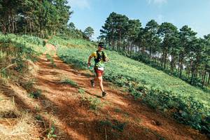 BIB: 
                            <button type="button" onclick="openModal(25290460)" class="btn btn-primary btn-sm float-right btn-popup" data-toggle="modal" data-target=".modal-high-quality">
                        <i class="fas fa-shopping-cart"></i> Add to Cart
                    </button>
                                            <button type="button" onclick="isThisMe(25290460, true)" class="btn btn-success btn-sm float-right btn-popup btn-isme hidden" data-toggle="tooltip" data-placement="bottom" title="นี่คือรูปของคุณใช่ไหม คลิกที่นี่เพื่อเอาเข้าอัลบั้ม">
                        <i class="fas fa-plus"></i> Add to album
                    </button>
                    <button type="button" onclick="isThisMe(25290460, false)" class="btn btn-warning btn-sm float-right btn-popup btn-isnotme hidden">
                        <i class="fas fa-ban"></i> Remove from album
                    </button>