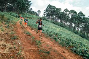 BIB: 
                            <button type="button" onclick="openModal(25321764)" class="btn btn-primary btn-sm float-right btn-popup" data-toggle="modal" data-target=".modal-high-quality">
                        <i class="fas fa-shopping-cart"></i> Add to Cart
                    </button>
                                            <button type="button" onclick="isThisMe(25321764, true)" class="btn btn-success btn-sm float-right btn-popup btn-isme hidden" data-toggle="tooltip" data-placement="bottom" title="นี่คือรูปของคุณใช่ไหม คลิกที่นี่เพื่อเอาเข้าอัลบั้ม">
                        <i class="fas fa-plus"></i> Add to album
                    </button>
                    <button type="button" onclick="isThisMe(25321764, false)" class="btn btn-warning btn-sm float-right btn-popup btn-isnotme hidden">
                        <i class="fas fa-ban"></i> Remove from album
                    </button>