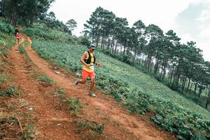 BIB: 
                            <button type="button" onclick="openModal(25323869)" class="btn btn-primary btn-sm float-right btn-popup" data-toggle="modal" data-target=".modal-high-quality">
                        <i class="fas fa-shopping-cart"></i> Add to Cart
                    </button>
                                            <button type="button" onclick="isThisMe(25323869, true)" class="btn btn-success btn-sm float-right btn-popup btn-isme hidden" data-toggle="tooltip" data-placement="bottom" title="นี่คือรูปของคุณใช่ไหม คลิกที่นี่เพื่อเอาเข้าอัลบั้ม">
                        <i class="fas fa-plus"></i> Add to album
                    </button>
                    <button type="button" onclick="isThisMe(25323869, false)" class="btn btn-warning btn-sm float-right btn-popup btn-isnotme hidden">
                        <i class="fas fa-ban"></i> Remove from album
                    </button>