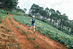 BIB: 
                            <button type="button" onclick="openModal(25300502)" class="btn btn-primary btn-sm float-right btn-popup" data-toggle="modal" data-target=".modal-high-quality">
                        <i class="fas fa-shopping-cart"></i> Add to Cart
                    </button>
                                            <button type="button" onclick="isThisMe(25300502, true)" class="btn btn-success btn-sm float-right btn-popup btn-isme hidden" data-toggle="tooltip" data-placement="bottom" title="นี่คือรูปของคุณใช่ไหม คลิกที่นี่เพื่อเอาเข้าอัลบั้ม">
                        <i class="fas fa-plus"></i> Add to album
                    </button>
                    <button type="button" onclick="isThisMe(25300502, false)" class="btn btn-warning btn-sm float-right btn-popup btn-isnotme hidden">
                        <i class="fas fa-ban"></i> Remove from album
                    </button>