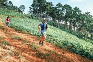 BIB: 
                            <button type="button" onclick="openModal(25291125)" class="btn btn-primary btn-sm float-right btn-popup" data-toggle="modal" data-target=".modal-high-quality">
                        <i class="fas fa-shopping-cart"></i> Add to Cart
                    </button>
                                            <button type="button" onclick="isThisMe(25291125, true)" class="btn btn-success btn-sm float-right btn-popup btn-isme hidden" data-toggle="tooltip" data-placement="bottom" title="นี่คือรูปของคุณใช่ไหม คลิกที่นี่เพื่อเอาเข้าอัลบั้ม">
                        <i class="fas fa-plus"></i> Add to album
                    </button>
                    <button type="button" onclick="isThisMe(25291125, false)" class="btn btn-warning btn-sm float-right btn-popup btn-isnotme hidden">
                        <i class="fas fa-ban"></i> Remove from album
                    </button>