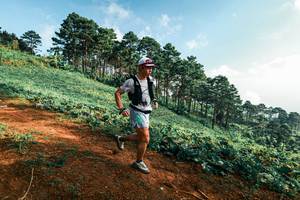 BIB: 
                            <button type="button" onclick="openModal(25290430)" class="btn btn-primary btn-sm float-right btn-popup" data-toggle="modal" data-target=".modal-high-quality">
                        <i class="fas fa-shopping-cart"></i> Add to Cart
                    </button>
                                            <button type="button" onclick="isThisMe(25290430, true)" class="btn btn-success btn-sm float-right btn-popup btn-isme hidden" data-toggle="tooltip" data-placement="bottom" title="นี่คือรูปของคุณใช่ไหม คลิกที่นี่เพื่อเอาเข้าอัลบั้ม">
                        <i class="fas fa-plus"></i> Add to album
                    </button>
                    <button type="button" onclick="isThisMe(25290430, false)" class="btn btn-warning btn-sm float-right btn-popup btn-isnotme hidden">
                        <i class="fas fa-ban"></i> Remove from album
                    </button>