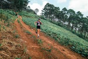 BIB: 
                            <button type="button" onclick="openModal(25453231)" class="btn btn-primary btn-sm float-right btn-popup" data-toggle="modal" data-target=".modal-high-quality">
                        <i class="fas fa-shopping-cart"></i> Add to Cart
                    </button>
                                            <button type="button" onclick="isThisMe(25453231, true)" class="btn btn-success btn-sm float-right btn-popup btn-isme hidden" data-toggle="tooltip" data-placement="bottom" title="นี่คือรูปของคุณใช่ไหม คลิกที่นี่เพื่อเอาเข้าอัลบั้ม">
                        <i class="fas fa-plus"></i> Add to album
                    </button>
                    <button type="button" onclick="isThisMe(25453231, false)" class="btn btn-warning btn-sm float-right btn-popup btn-isnotme hidden">
                        <i class="fas fa-ban"></i> Remove from album
                    </button>