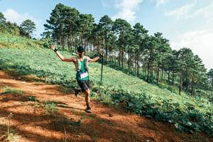 BIB: 
                            <button type="button" onclick="openModal(25291340)" class="btn btn-primary btn-sm float-right btn-popup" data-toggle="modal" data-target=".modal-high-quality">
                        <i class="fas fa-shopping-cart"></i> Add to Cart
                    </button>
                                            <button type="button" onclick="isThisMe(25291340, true)" class="btn btn-success btn-sm float-right btn-popup btn-isme hidden" data-toggle="tooltip" data-placement="bottom" title="นี่คือรูปของคุณใช่ไหม คลิกที่นี่เพื่อเอาเข้าอัลบั้ม">
                        <i class="fas fa-plus"></i> Add to album
                    </button>
                    <button type="button" onclick="isThisMe(25291340, false)" class="btn btn-warning btn-sm float-right btn-popup btn-isnotme hidden">
                        <i class="fas fa-ban"></i> Remove from album
                    </button>