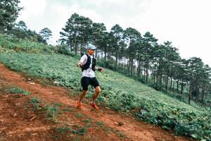 BIB: 
                            <button type="button" onclick="openModal(25288256)" class="btn btn-primary btn-sm float-right btn-popup" data-toggle="modal" data-target=".modal-high-quality">
                        <i class="fas fa-shopping-cart"></i> Add to Cart
                    </button>
                                            <button type="button" onclick="isThisMe(25288256, true)" class="btn btn-success btn-sm float-right btn-popup btn-isme hidden" data-toggle="tooltip" data-placement="bottom" title="นี่คือรูปของคุณใช่ไหม คลิกที่นี่เพื่อเอาเข้าอัลบั้ม">
                        <i class="fas fa-plus"></i> Add to album
                    </button>
                    <button type="button" onclick="isThisMe(25288256, false)" class="btn btn-warning btn-sm float-right btn-popup btn-isnotme hidden">
                        <i class="fas fa-ban"></i> Remove from album
                    </button>