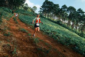 BIB: 
                            <button type="button" onclick="openModal(25289952)" class="btn btn-primary btn-sm float-right btn-popup" data-toggle="modal" data-target=".modal-high-quality">
                        <i class="fas fa-shopping-cart"></i> Add to Cart
                    </button>
                                            <button type="button" onclick="isThisMe(25289952, true)" class="btn btn-success btn-sm float-right btn-popup btn-isme hidden" data-toggle="tooltip" data-placement="bottom" title="นี่คือรูปของคุณใช่ไหม คลิกที่นี่เพื่อเอาเข้าอัลบั้ม">
                        <i class="fas fa-plus"></i> Add to album
                    </button>
                    <button type="button" onclick="isThisMe(25289952, false)" class="btn btn-warning btn-sm float-right btn-popup btn-isnotme hidden">
                        <i class="fas fa-ban"></i> Remove from album
                    </button>