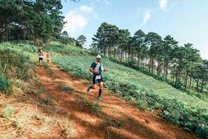 BIB: 
                            <button type="button" onclick="openModal(25291806)" class="btn btn-primary btn-sm float-right btn-popup" data-toggle="modal" data-target=".modal-high-quality">
                        <i class="fas fa-shopping-cart"></i> Add to Cart
                    </button>
                                            <button type="button" onclick="isThisMe(25291806, true)" class="btn btn-success btn-sm float-right btn-popup btn-isme hidden" data-toggle="tooltip" data-placement="bottom" title="นี่คือรูปของคุณใช่ไหม คลิกที่นี่เพื่อเอาเข้าอัลบั้ม">
                        <i class="fas fa-plus"></i> Add to album
                    </button>
                    <button type="button" onclick="isThisMe(25291806, false)" class="btn btn-warning btn-sm float-right btn-popup btn-isnotme hidden">
                        <i class="fas fa-ban"></i> Remove from album
                    </button>