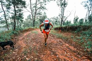 BIB: 
                            <button type="button" onclick="openModal(25287150)" class="btn btn-primary btn-sm float-right btn-popup" data-toggle="modal" data-target=".modal-high-quality">
                        <i class="fas fa-shopping-cart"></i> Add to Cart
                    </button>
                                            <button type="button" onclick="isThisMe(25287150, true)" class="btn btn-success btn-sm float-right btn-popup btn-isme hidden" data-toggle="tooltip" data-placement="bottom" title="นี่คือรูปของคุณใช่ไหม คลิกที่นี่เพื่อเอาเข้าอัลบั้ม">
                        <i class="fas fa-plus"></i> Add to album
                    </button>
                    <button type="button" onclick="isThisMe(25287150, false)" class="btn btn-warning btn-sm float-right btn-popup btn-isnotme hidden">
                        <i class="fas fa-ban"></i> Remove from album
                    </button>