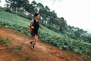 BIB: 
                            <button type="button" onclick="openModal(25322999)" class="btn btn-primary btn-sm float-right btn-popup" data-toggle="modal" data-target=".modal-high-quality">
                        <i class="fas fa-shopping-cart"></i> Add to Cart
                    </button>
                                            <button type="button" onclick="isThisMe(25322999, true)" class="btn btn-success btn-sm float-right btn-popup btn-isme hidden" data-toggle="tooltip" data-placement="bottom" title="นี่คือรูปของคุณใช่ไหม คลิกที่นี่เพื่อเอาเข้าอัลบั้ม">
                        <i class="fas fa-plus"></i> Add to album
                    </button>
                    <button type="button" onclick="isThisMe(25322999, false)" class="btn btn-warning btn-sm float-right btn-popup btn-isnotme hidden">
                        <i class="fas fa-ban"></i> Remove from album
                    </button>