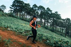 BIB: 
                            <button type="button" onclick="openModal(25289097)" class="btn btn-primary btn-sm float-right btn-popup" data-toggle="modal" data-target=".modal-high-quality">
                        <i class="fas fa-shopping-cart"></i> Add to Cart
                    </button>
                                            <button type="button" onclick="isThisMe(25289097, true)" class="btn btn-success btn-sm float-right btn-popup btn-isme hidden" data-toggle="tooltip" data-placement="bottom" title="นี่คือรูปของคุณใช่ไหม คลิกที่นี่เพื่อเอาเข้าอัลบั้ม">
                        <i class="fas fa-plus"></i> Add to album
                    </button>
                    <button type="button" onclick="isThisMe(25289097, false)" class="btn btn-warning btn-sm float-right btn-popup btn-isnotme hidden">
                        <i class="fas fa-ban"></i> Remove from album
                    </button>