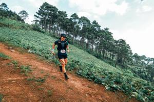 BIB: 
                            <button type="button" onclick="openModal(25301774)" class="btn btn-primary btn-sm float-right btn-popup" data-toggle="modal" data-target=".modal-high-quality">
                        <i class="fas fa-shopping-cart"></i> Add to Cart
                    </button>
                                            <button type="button" onclick="isThisMe(25301774, true)" class="btn btn-success btn-sm float-right btn-popup btn-isme hidden" data-toggle="tooltip" data-placement="bottom" title="นี่คือรูปของคุณใช่ไหม คลิกที่นี่เพื่อเอาเข้าอัลบั้ม">
                        <i class="fas fa-plus"></i> Add to album
                    </button>
                    <button type="button" onclick="isThisMe(25301774, false)" class="btn btn-warning btn-sm float-right btn-popup btn-isnotme hidden">
                        <i class="fas fa-ban"></i> Remove from album
                    </button>