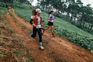 BIB: 
                            <button type="button" onclick="openModal(25323895)" class="btn btn-primary btn-sm float-right btn-popup" data-toggle="modal" data-target=".modal-high-quality">
                        <i class="fas fa-shopping-cart"></i> Add to Cart
                    </button>
                                            <button type="button" onclick="isThisMe(25323895, true)" class="btn btn-success btn-sm float-right btn-popup btn-isme hidden" data-toggle="tooltip" data-placement="bottom" title="นี่คือรูปของคุณใช่ไหม คลิกที่นี่เพื่อเอาเข้าอัลบั้ม">
                        <i class="fas fa-plus"></i> Add to album
                    </button>
                    <button type="button" onclick="isThisMe(25323895, false)" class="btn btn-warning btn-sm float-right btn-popup btn-isnotme hidden">
                        <i class="fas fa-ban"></i> Remove from album
                    </button>