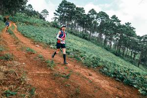 BIB: 
                            <button type="button" onclick="openModal(25299241)" class="btn btn-primary btn-sm float-right btn-popup" data-toggle="modal" data-target=".modal-high-quality">
                        <i class="fas fa-shopping-cart"></i> Add to Cart
                    </button>
                                            <button type="button" onclick="isThisMe(25299241, true)" class="btn btn-success btn-sm float-right btn-popup btn-isme hidden" data-toggle="tooltip" data-placement="bottom" title="นี่คือรูปของคุณใช่ไหม คลิกที่นี่เพื่อเอาเข้าอัลบั้ม">
                        <i class="fas fa-plus"></i> Add to album
                    </button>
                    <button type="button" onclick="isThisMe(25299241, false)" class="btn btn-warning btn-sm float-right btn-popup btn-isnotme hidden">
                        <i class="fas fa-ban"></i> Remove from album
                    </button>