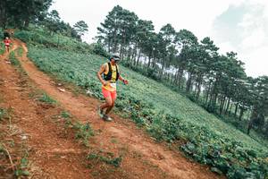 BIB: 
                            <button type="button" onclick="openModal(25323870)" class="btn btn-primary btn-sm float-right btn-popup" data-toggle="modal" data-target=".modal-high-quality">
                        <i class="fas fa-shopping-cart"></i> Add to Cart
                    </button>
                                            <button type="button" onclick="isThisMe(25323870, true)" class="btn btn-success btn-sm float-right btn-popup btn-isme hidden" data-toggle="tooltip" data-placement="bottom" title="นี่คือรูปของคุณใช่ไหม คลิกที่นี่เพื่อเอาเข้าอัลบั้ม">
                        <i class="fas fa-plus"></i> Add to album
                    </button>
                    <button type="button" onclick="isThisMe(25323870, false)" class="btn btn-warning btn-sm float-right btn-popup btn-isnotme hidden">
                        <i class="fas fa-ban"></i> Remove from album
                    </button>