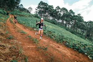 BIB: 
                            <button type="button" onclick="openModal(25491136)" class="btn btn-primary btn-sm float-right btn-popup" data-toggle="modal" data-target=".modal-high-quality">
                        <i class="fas fa-shopping-cart"></i> Add to Cart
                    </button>
                                            <button type="button" onclick="isThisMe(25491136, true)" class="btn btn-success btn-sm float-right btn-popup btn-isme hidden" data-toggle="tooltip" data-placement="bottom" title="นี่คือรูปของคุณใช่ไหม คลิกที่นี่เพื่อเอาเข้าอัลบั้ม">
                        <i class="fas fa-plus"></i> Add to album
                    </button>
                    <button type="button" onclick="isThisMe(25491136, false)" class="btn btn-warning btn-sm float-right btn-popup btn-isnotme hidden">
                        <i class="fas fa-ban"></i> Remove from album
                    </button>