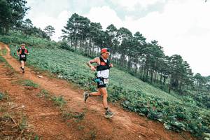 BIB: 
                            <button type="button" onclick="openModal(25483122)" class="btn btn-primary btn-sm float-right btn-popup" data-toggle="modal" data-target=".modal-high-quality">
                        <i class="fas fa-shopping-cart"></i> Add to Cart
                    </button>
                                            <button type="button" onclick="isThisMe(25483122, true)" class="btn btn-success btn-sm float-right btn-popup btn-isme hidden" data-toggle="tooltip" data-placement="bottom" title="นี่คือรูปของคุณใช่ไหม คลิกที่นี่เพื่อเอาเข้าอัลบั้ม">
                        <i class="fas fa-plus"></i> Add to album
                    </button>
                    <button type="button" onclick="isThisMe(25483122, false)" class="btn btn-warning btn-sm float-right btn-popup btn-isnotme hidden">
                        <i class="fas fa-ban"></i> Remove from album
                    </button>