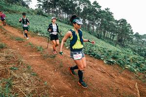 BIB: 
                            <button type="button" onclick="openModal(25489017)" class="btn btn-primary btn-sm float-right btn-popup" data-toggle="modal" data-target=".modal-high-quality">
                        <i class="fas fa-shopping-cart"></i> Add to Cart
                    </button>
                                            <button type="button" onclick="isThisMe(25489017, true)" class="btn btn-success btn-sm float-right btn-popup btn-isme hidden" data-toggle="tooltip" data-placement="bottom" title="นี่คือรูปของคุณใช่ไหม คลิกที่นี่เพื่อเอาเข้าอัลบั้ม">
                        <i class="fas fa-plus"></i> Add to album
                    </button>
                    <button type="button" onclick="isThisMe(25489017, false)" class="btn btn-warning btn-sm float-right btn-popup btn-isnotme hidden">
                        <i class="fas fa-ban"></i> Remove from album
                    </button>