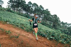 BIB: 
                            <button type="button" onclick="openModal(25485597)" class="btn btn-primary btn-sm float-right btn-popup" data-toggle="modal" data-target=".modal-high-quality">
                        <i class="fas fa-shopping-cart"></i> Add to Cart
                    </button>
                                            <button type="button" onclick="isThisMe(25485597, true)" class="btn btn-success btn-sm float-right btn-popup btn-isme hidden" data-toggle="tooltip" data-placement="bottom" title="นี่คือรูปของคุณใช่ไหม คลิกที่นี่เพื่อเอาเข้าอัลบั้ม">
                        <i class="fas fa-plus"></i> Add to album
                    </button>
                    <button type="button" onclick="isThisMe(25485597, false)" class="btn btn-warning btn-sm float-right btn-popup btn-isnotme hidden">
                        <i class="fas fa-ban"></i> Remove from album
                    </button>